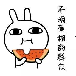 娱乐吃瓜酱家里到底谁做了决定,究竟是谁执掌权柄？