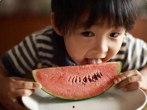 娱乐吃瓜酱这就是夏天,娱乐吃瓜酱带你领略这就是夏天的魅力